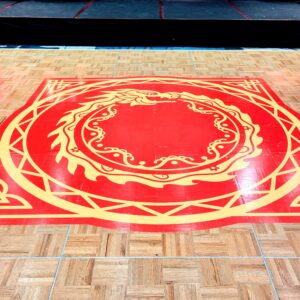 printed dance floor vinyl